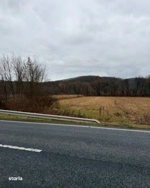 Teren extravilan arabil Baia de Cris, Hunedoara - 3070972