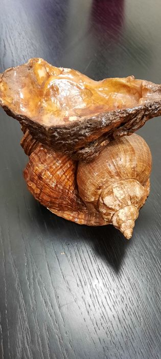 Ракушка сувенир ручная работа