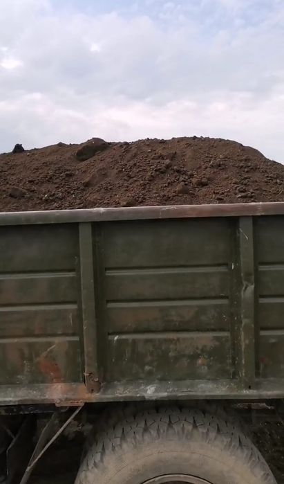 Чернозем плодородный