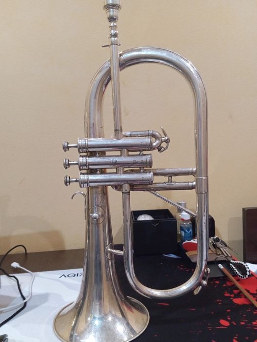 Cursuri , lectii trompeta si basfligorn incepatori si avansati