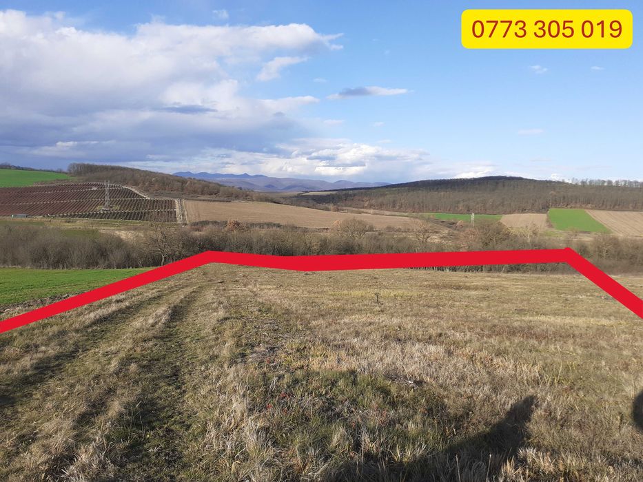 Vând - Schimb Teren extravilan Jeledinți, între Simeria și Orăștie / Deva 20 km posibil Apă/Canalizare 67m x 310m extravilan Jeledinți ( Mărtinești )