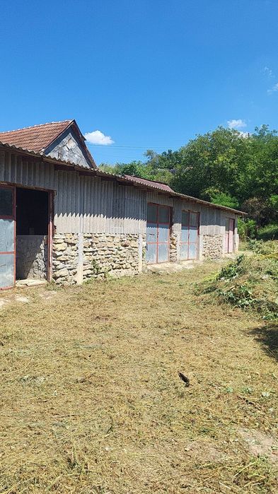 Vand casa in satul Raplotel comuna Raportul Mare!