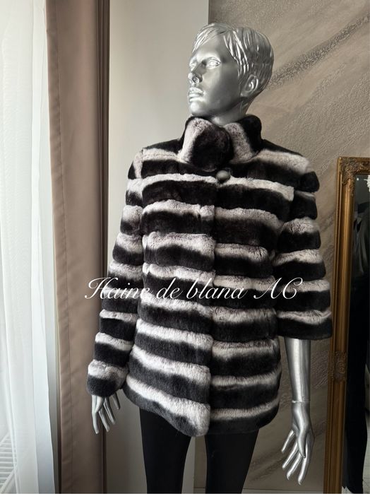 Haina de blana chinchilla rex