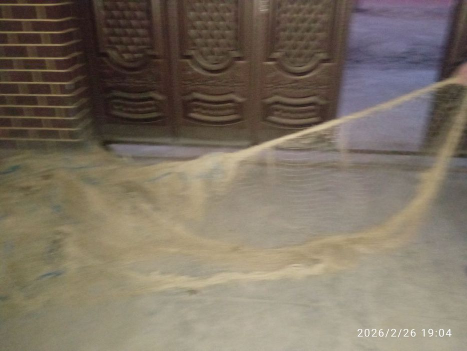 Holati yaxshi  kelishiladi yilim