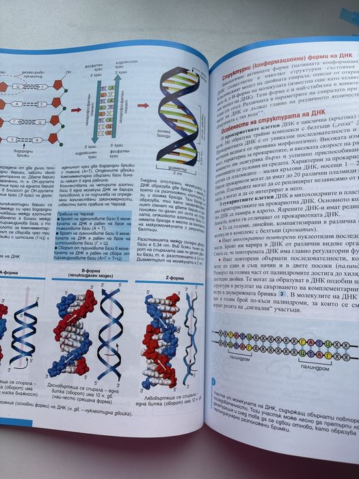 Учебник по биология за 11 клас