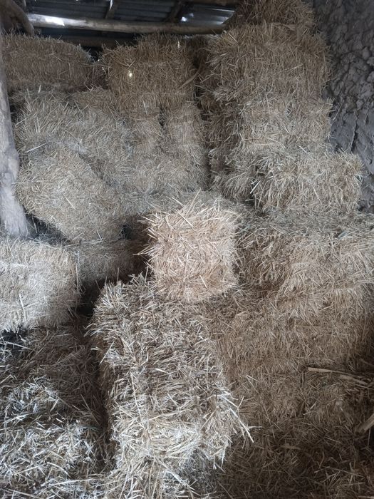 Somon pres sotiladi (boʻkada)