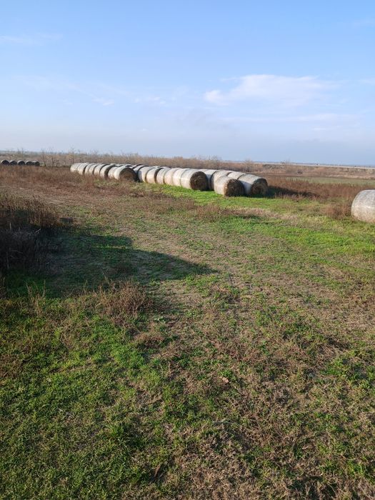 Vind baloti de ovaz și baloti de lucerna