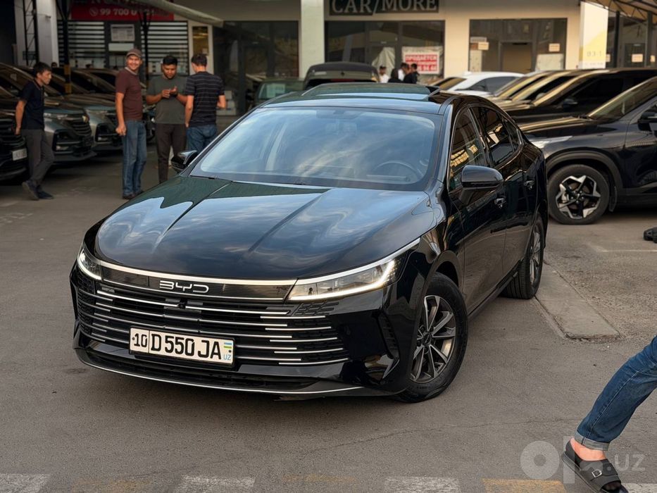 Bud chazor 55 2 pozitsya