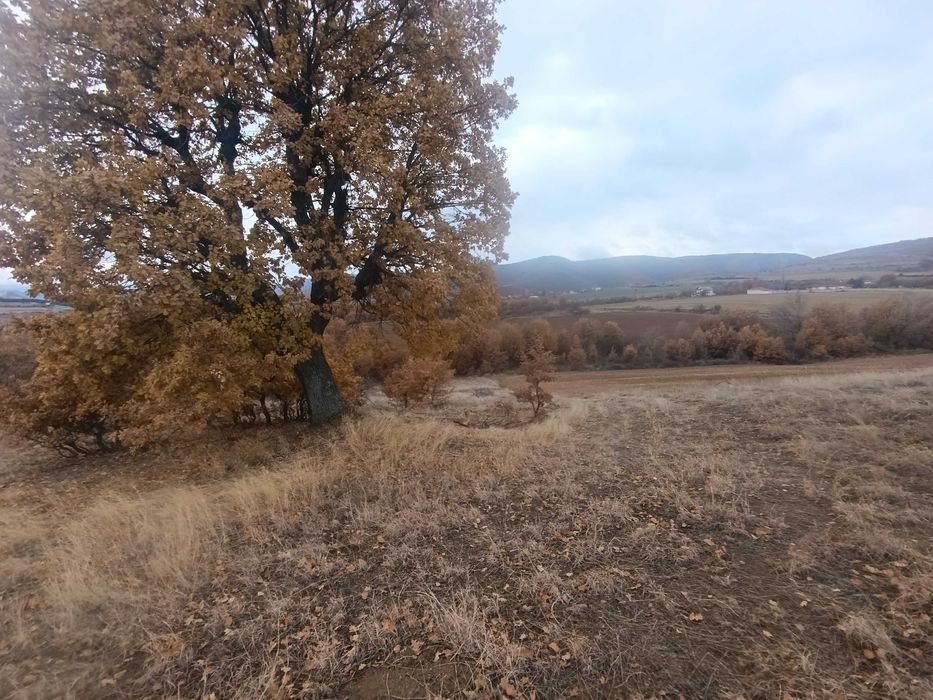 Продава се Земеделски имот в Благоевград, Еленово 2 -  кв.м за 2805 €/дка - Снимка #2