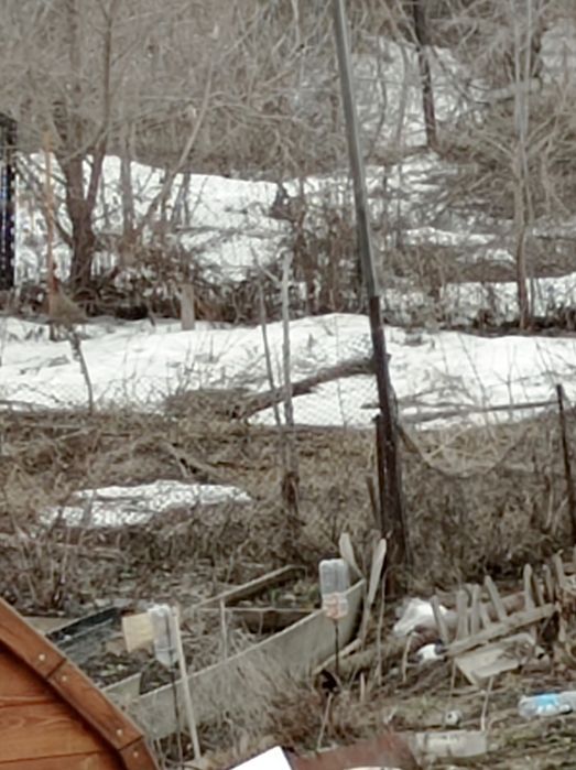 Земельный участок