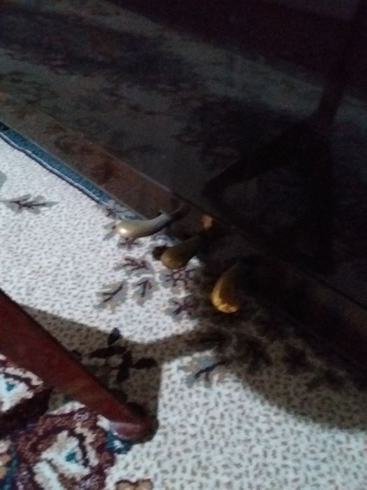 Пианино Фортепиано Заря