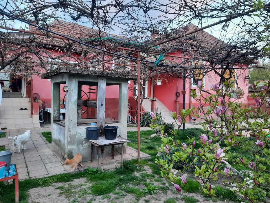 Casa de vanzare in Bretea Romana