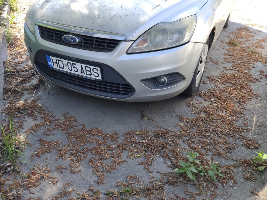 FORD Focus 2010 — imagine 4