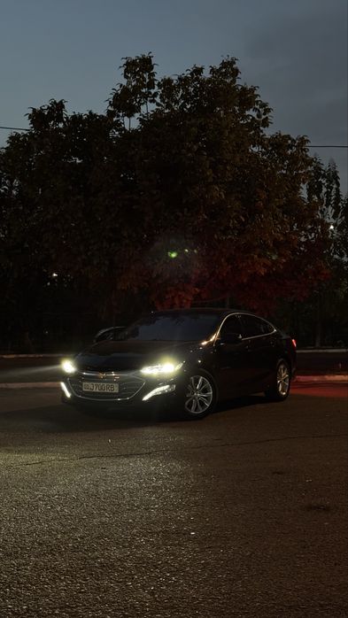 Malibu 2 premier