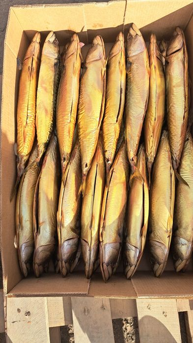 Рыба оптом в Ассартименте