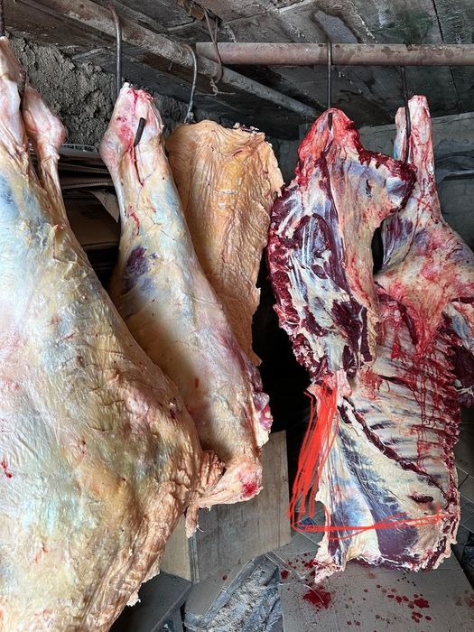 Домашнее мясо говядина