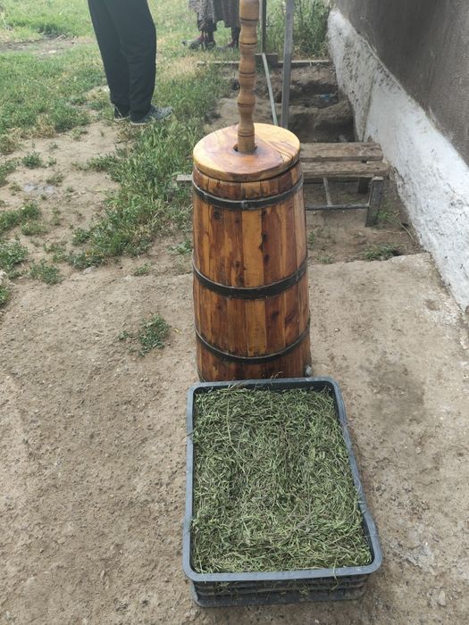 Қымыз тапсырыс  қабылдаймын