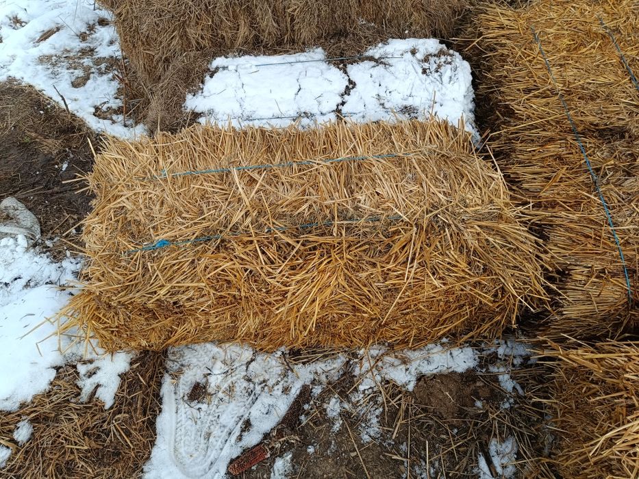 Vând baloți paie și ciocani