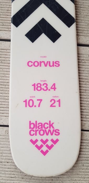 Schiuri de tura/ freeride