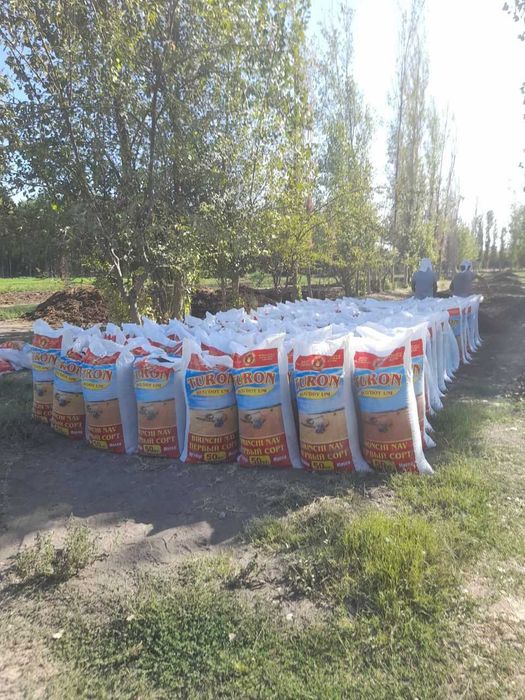 Biogumus bizda maxsulot sifatli va arzon narxda.