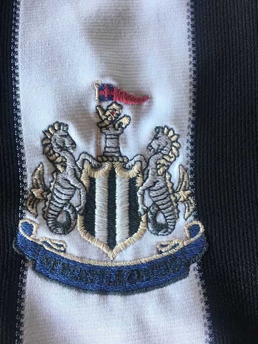 Екип Давид Жинола - Newcastle United