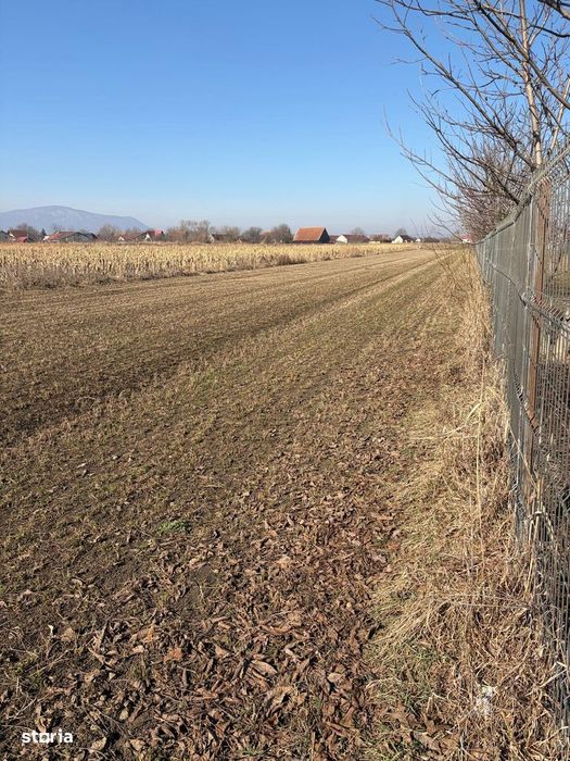 S.C. Vimak Imobiliare vinde teren intravilan Stupini