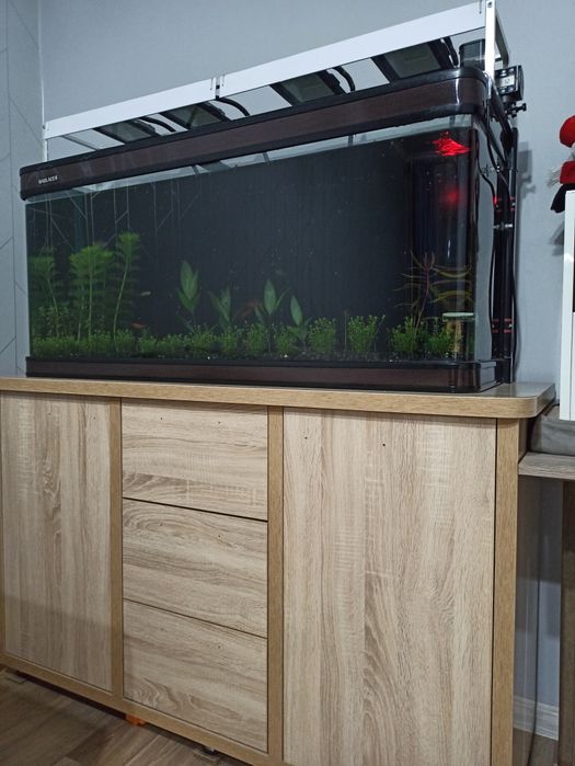 Аквариум 240 литров