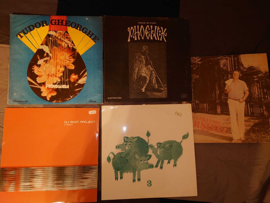 Discuri vinil [Tudor Gheorghe, etc.]
