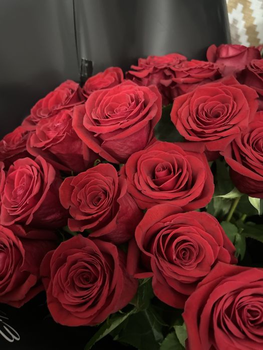 Бүгін келген гүлдер новый