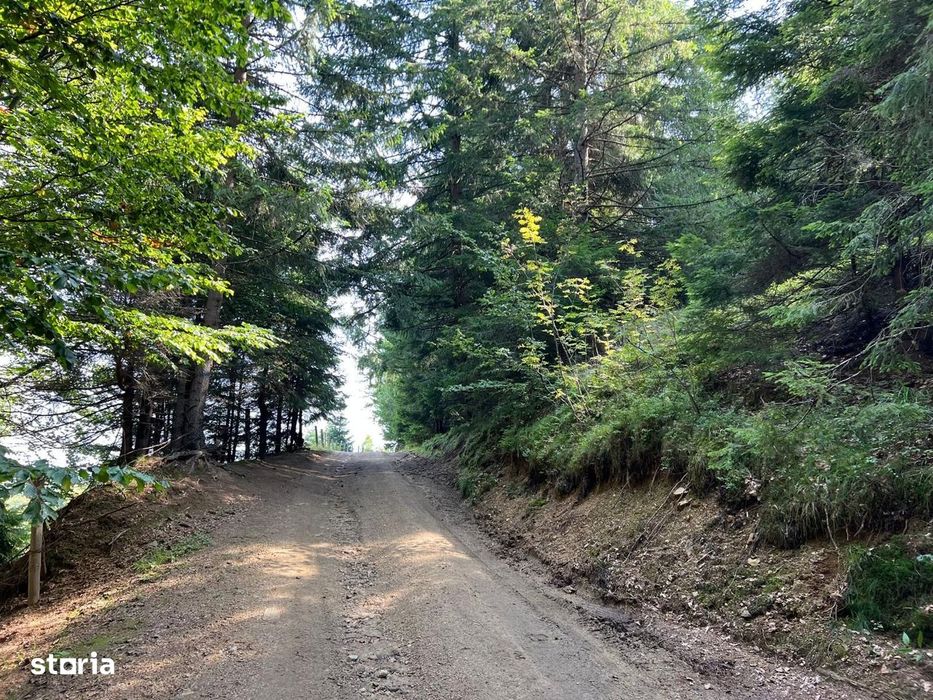 Teren 11.200 mp in Paltinis - Zona Paltinis Arena