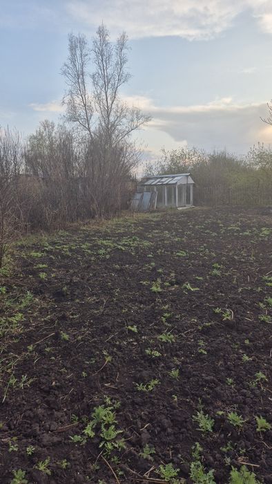 Продам дачу в с/о Ромашка