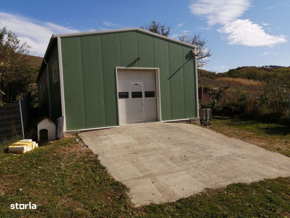 Hala la cheie si teren 4000 mp, Bontida