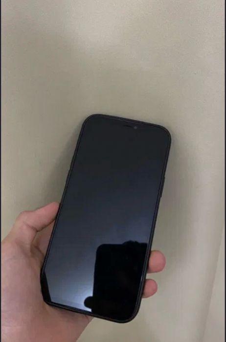 Iphone 12pro max 128g