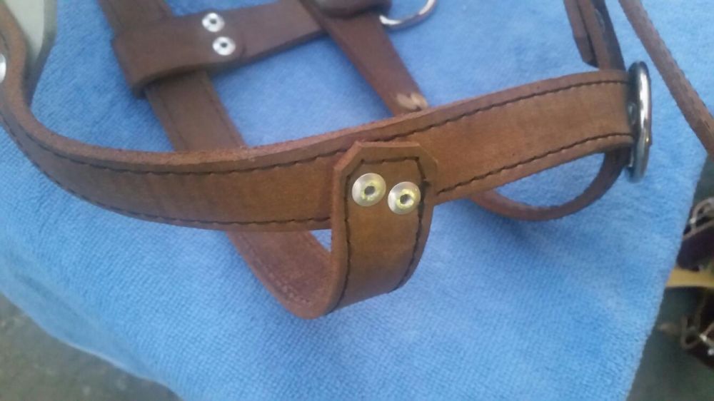 Шлейка прогулочная