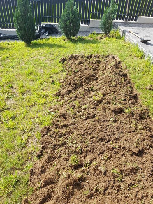 Amenajari Gradini ,curatare , debarasari gunoi Pamant Negru si Mranita