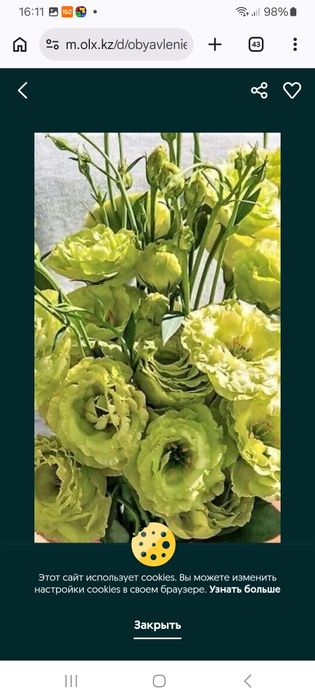 Рассада Эустомы / цветы / декор / сад