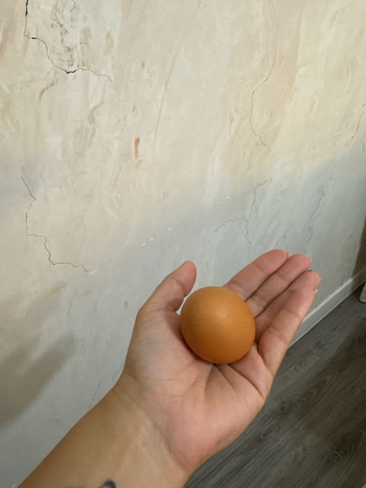 Продам домашние яйца куриные