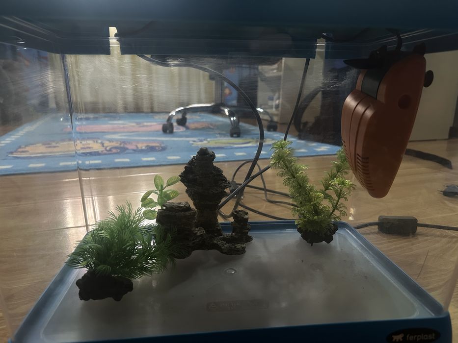 Vand Acvariu Ferplast Capri Junior