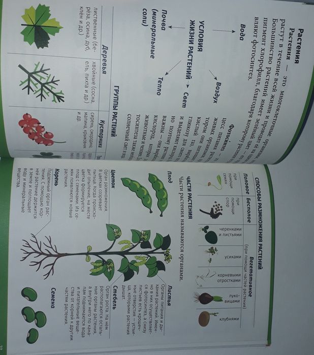 Окружающий мир 1-4 класс