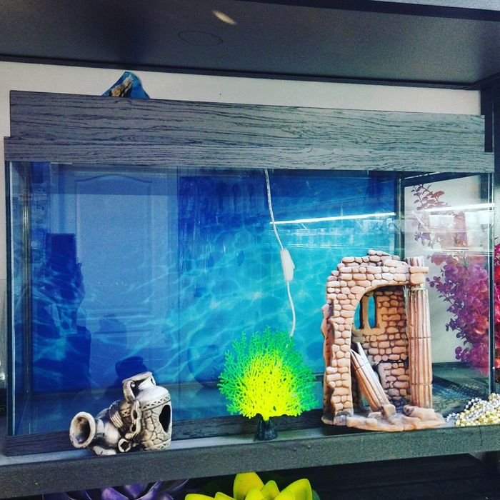 Аквариум100л  . Навои Торайгырова