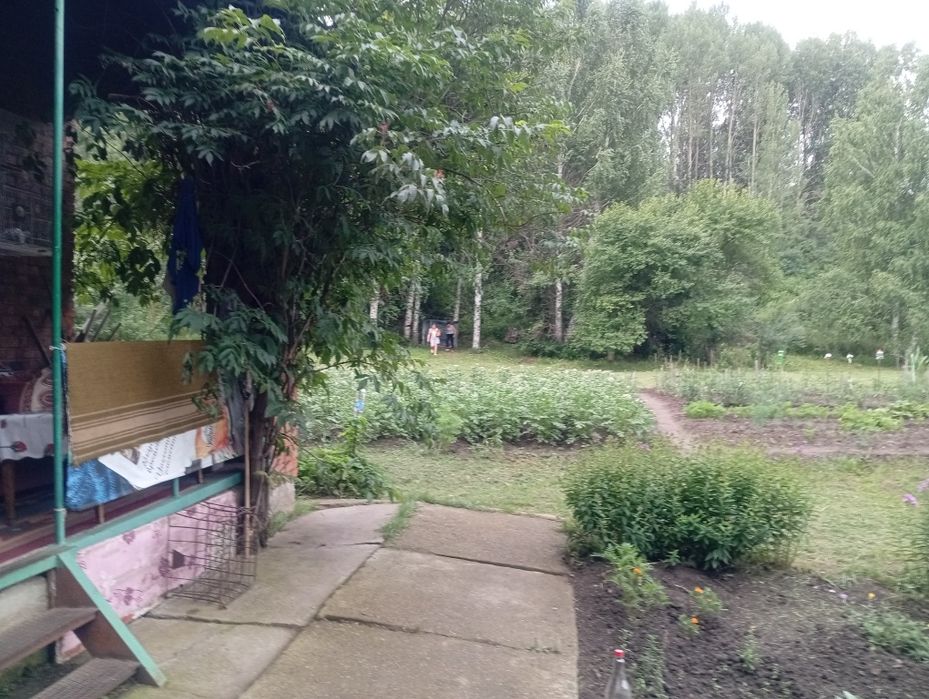 Дача с пасекой (за Тарханкой)