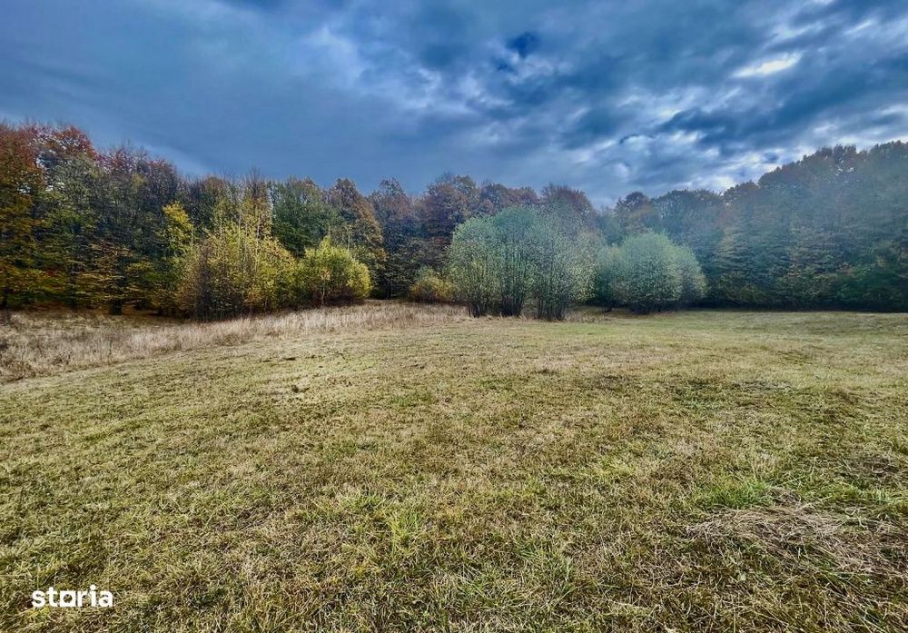 Teren larg 2 ha, la padure, panoramic dealuri si rau, cu curent, DJ
