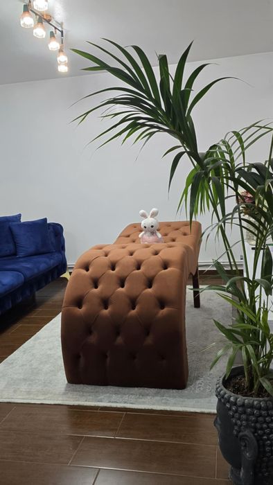 Pat pentru extensiile de gene
