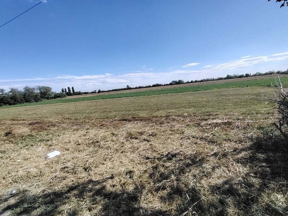 Vând teren de casa 2852m poate fi și parcelat
