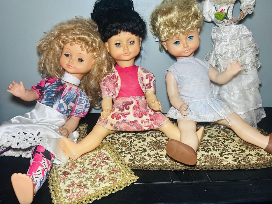 Lot Liliana Aradeanca