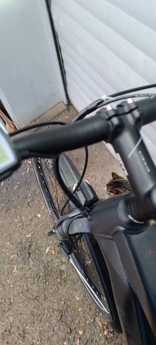 Електрически bulls 28"