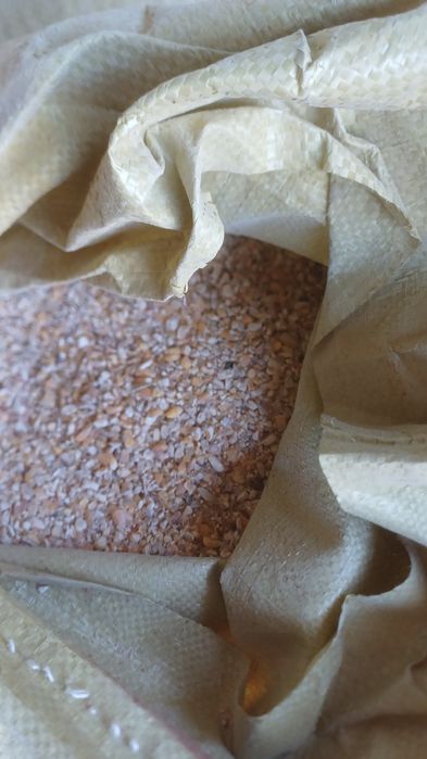 Продам кукурузу 180 тенге кг