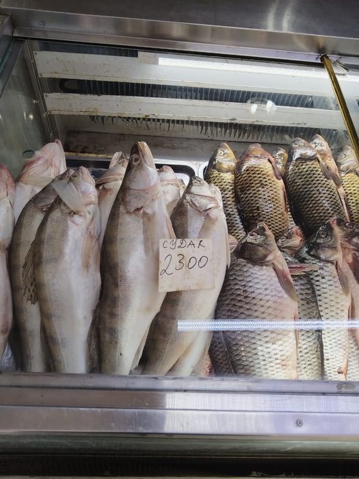 Продам свежую рыбу оптом и в розницу