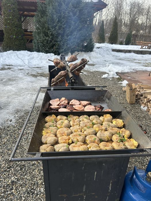 Catering/ protap/rotisor/gustari/ciorbe/aperitive/salate/garnituti