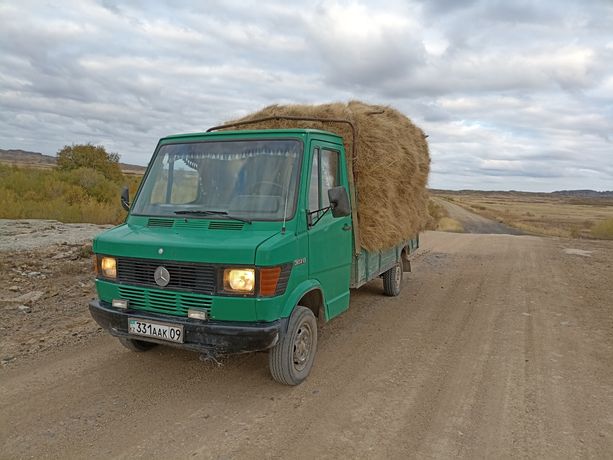 Mercedes Benz 307d